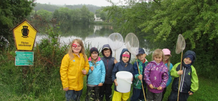 Abenteuer am Teich