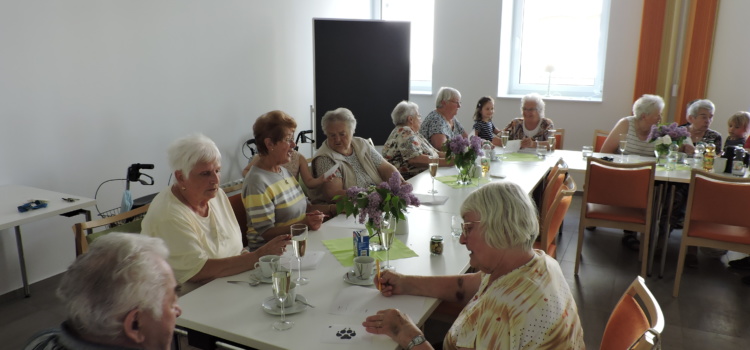 Quiznachmittag mit den Sonnenkäfern