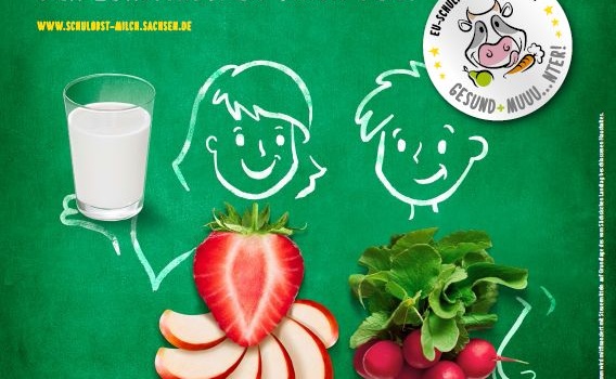 EU-Milchprogramm